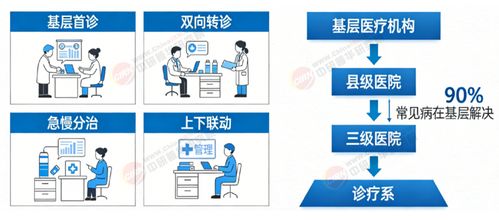 2026-2030年中國體外診斷行業全景調研與投資戰略規劃分析 信息技術咨詢服務的賦能與引領